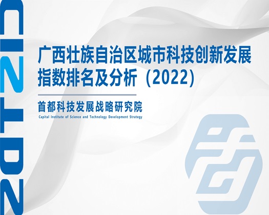 男同操鸡网站【成果发布】广西壮族自治区城市科技创新发展指数排名及分析（2022）